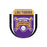 LSU Tigers Wincraft 2025 Baseball National Champions Lapel Pin