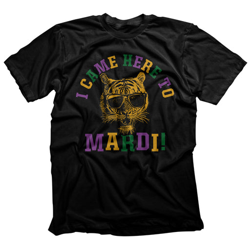 Southern Made Mardi Gras Came Here To Mardi T-Shirt - Black