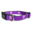 Bengals & Bandits Moonshine Adjustable Web Dog Collar - Purple